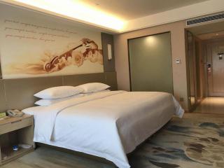 Vienna Hotel Chengdu Xinjin Old Pier Liujianian Metro Station - 3