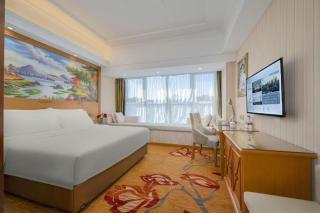 Vienna Hotel Zhengzhou Only Henan Movie Town - 2