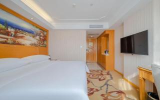 Vienna Hotel Shenzhen Guanlan Shanshuitianyuan Xintian - 9