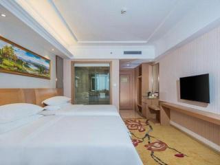 Vienna Hotel Guangzhou Baiyun Airport Huadu Avenue - 4