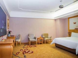 Vienna Hotel Guangdong Xinyi Jiaoyucheng River View - 4