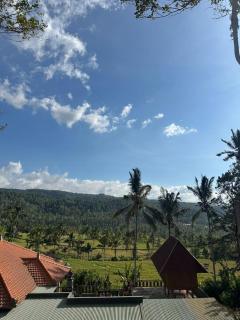Munduk Rice Terrace Guesthouse - 6