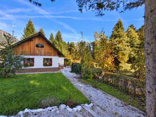 House Viharnik - Alpine Retreat in Mojstrana - 8