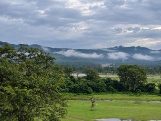Into the Wild - Tranquil Mountain & Forest Views - 0