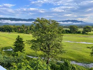 Into the Wild - Tranquil Mountain & Forest Views - 8