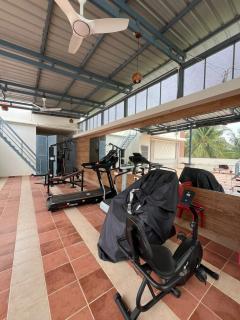 Shivaneri Mist Stay - 1