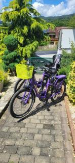 Wellnessapartment Anna am Stubenbergsee mit Gartensauna und E-Bikes - 1