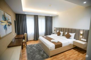 The Ambience Hotel Chandigarh Zirakpur - 9