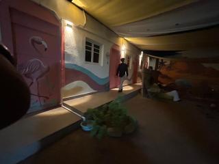 SafeZone Guesthouse - Dahab - 9