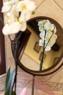The Black Rose-Country House Bionzo - Calosso - 4