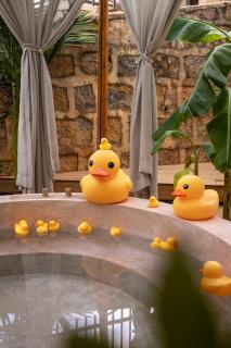 Ji'an Yinlu Wild Luxury Hot Spring Villa - 4