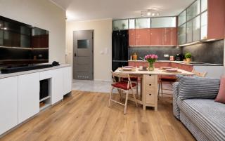 Przestronny apartament w Sosnowcu, miejsce parkingowe w hali garażowej - Sosnowiec - 9