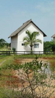 Villa Pelican - 4