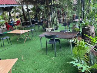 Tree and coffee resort V6 - 4