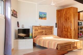 Studio charmant à L'Étang-Salé, jardin et vues, 25 m² - 9