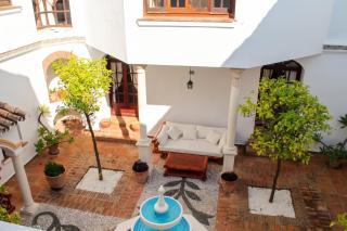 Paradisiacal Villa in Benahavís with Jacuzzi and Private Pool - 4