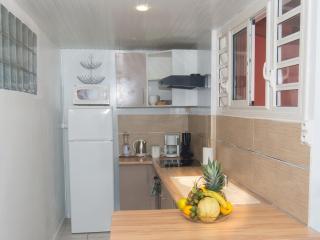 Appartement moderne à Fort-de-France, terrasse équipée, 50 m². - 3