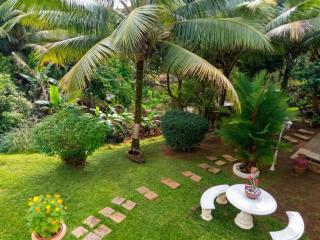 Appartement cosy à Le Morne-des-Esses, 37 m², piscine - 9