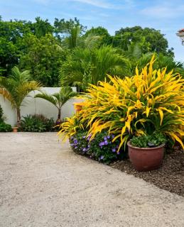 Appartement cosy à Le Morne-des-Esses, 37 m², piscine - 1