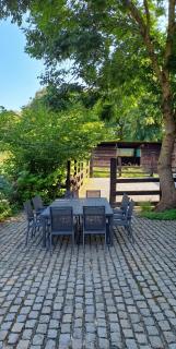 Spacious house in Montignies-sur-Roc with garden - 9
