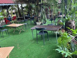 Tree and coffee resort V7 - 9