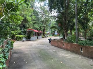 Tree and coffee resort V7 - 7