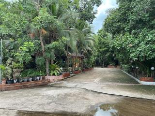 Tree and coffee resort V7 - 2
