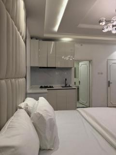 Luxury Studios Utako-City Center - 5