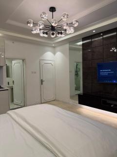 Luxury Studios Utako-City Center - 4