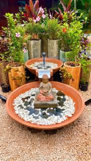 Charming House in Albion with Shared Pool - 4