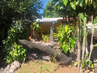 Studio charmant à Basse Terre, vue sur jardin, 15 m² - 3