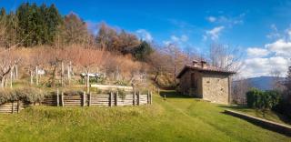 Comfortable House in Bibbiena + Pool - Bibbiena - 9