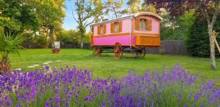 Bungalow cosy à Bussac-Forêt avec piscine partagée 15 m² - 3