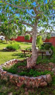 Charming house in Picón with private pool. - 7