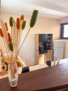 Appartement cosy à Vauclin avec jardin - 2