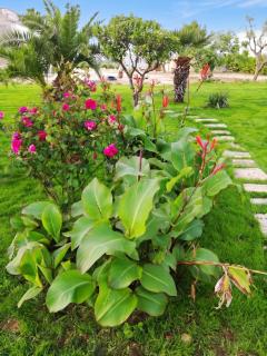 Charming Apartment in Villaggio Resta, 36 sqm with Sea View - 8