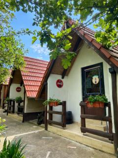 Cozy bungalow in Brinjani with garden view 30 m² - 8