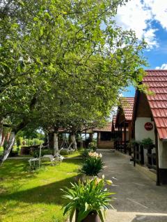 Cozy bungalow in Brinjani with garden view 30 m² - 4