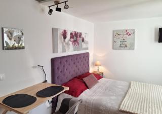 Studio charmant à Valff avec jardin privé - 20 m² - 6