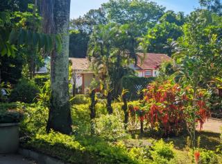 Charming house with sea view in Foulpointe + Enclosed garden. - 7