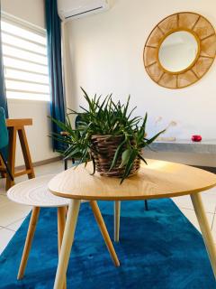 Charmant appartement de 1 chambre à Fort-de-France 35 m² - 2