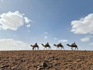 Serenity Lodge Zagora Guest House Restaurant & Desert Excursions - 8