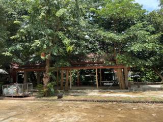 Tree and coffee resort V8 - 2