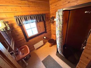 Private Swedish Forest Cabin - 3
