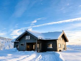 Montain Cabin - high standard, Haglebu - 11 beds - 7