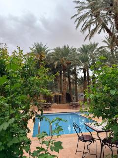 Camping auberge palmeraie d'amezrou - 7