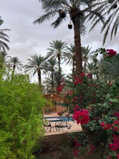Camping auberge palmeraie d'amezrou - 6