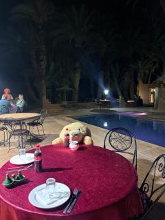 Camping auberge palmeraie d'amezrou - 8