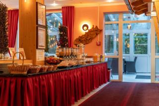 Waldhotel Harz Ilsenburg - 5