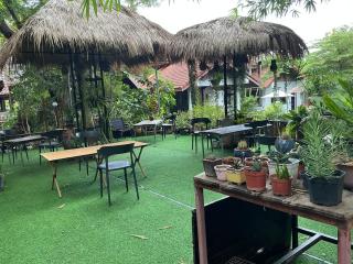 Tree and coffee resort V10 - 2